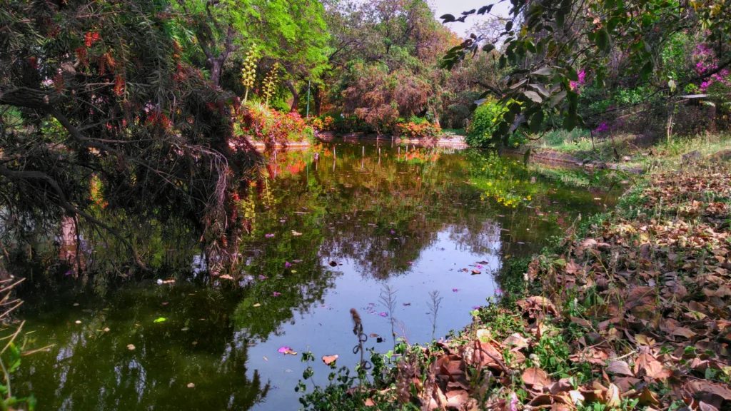 Garden view of the Buddha Jayanti park