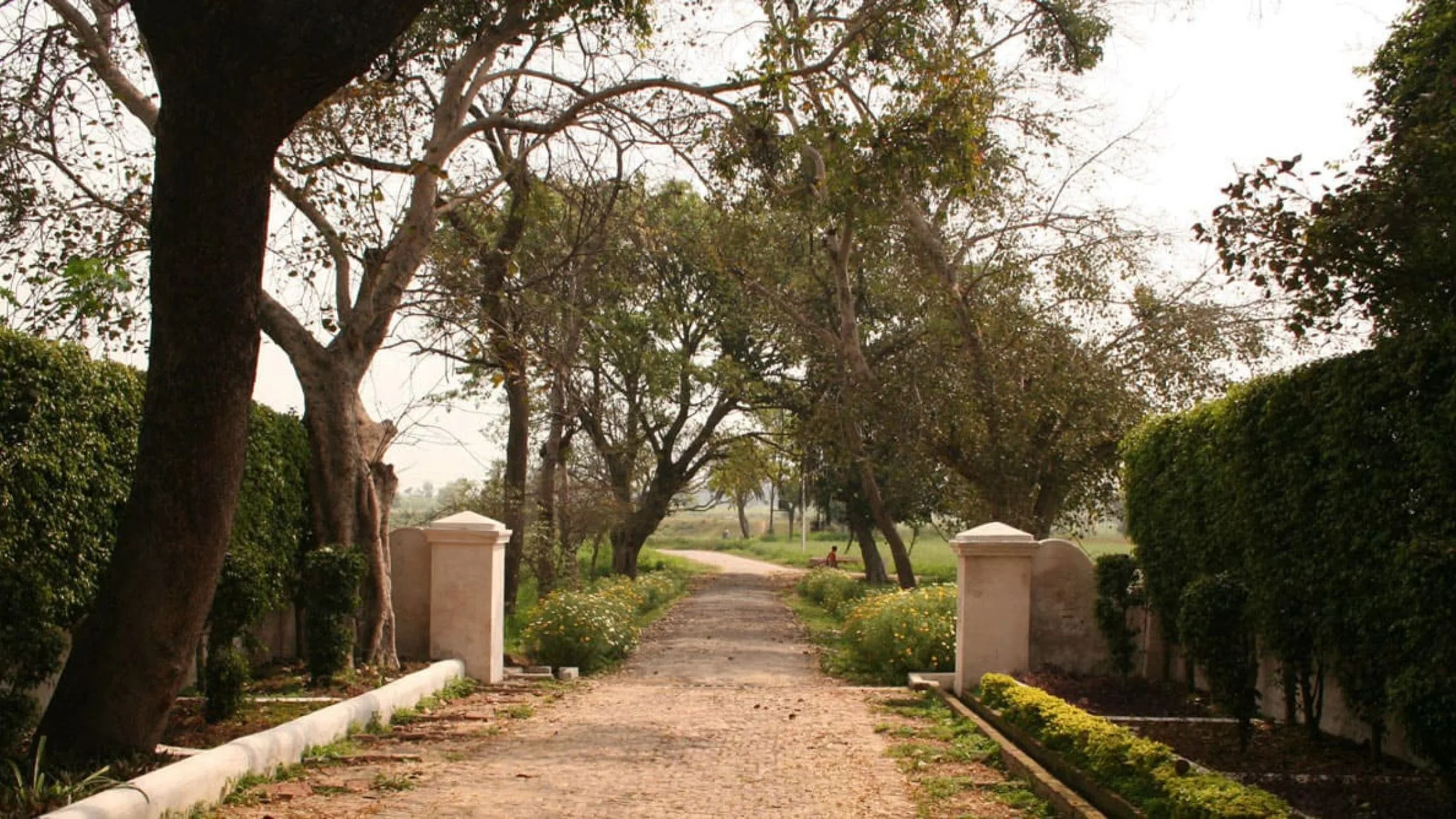 Botanix Nature Resort. 