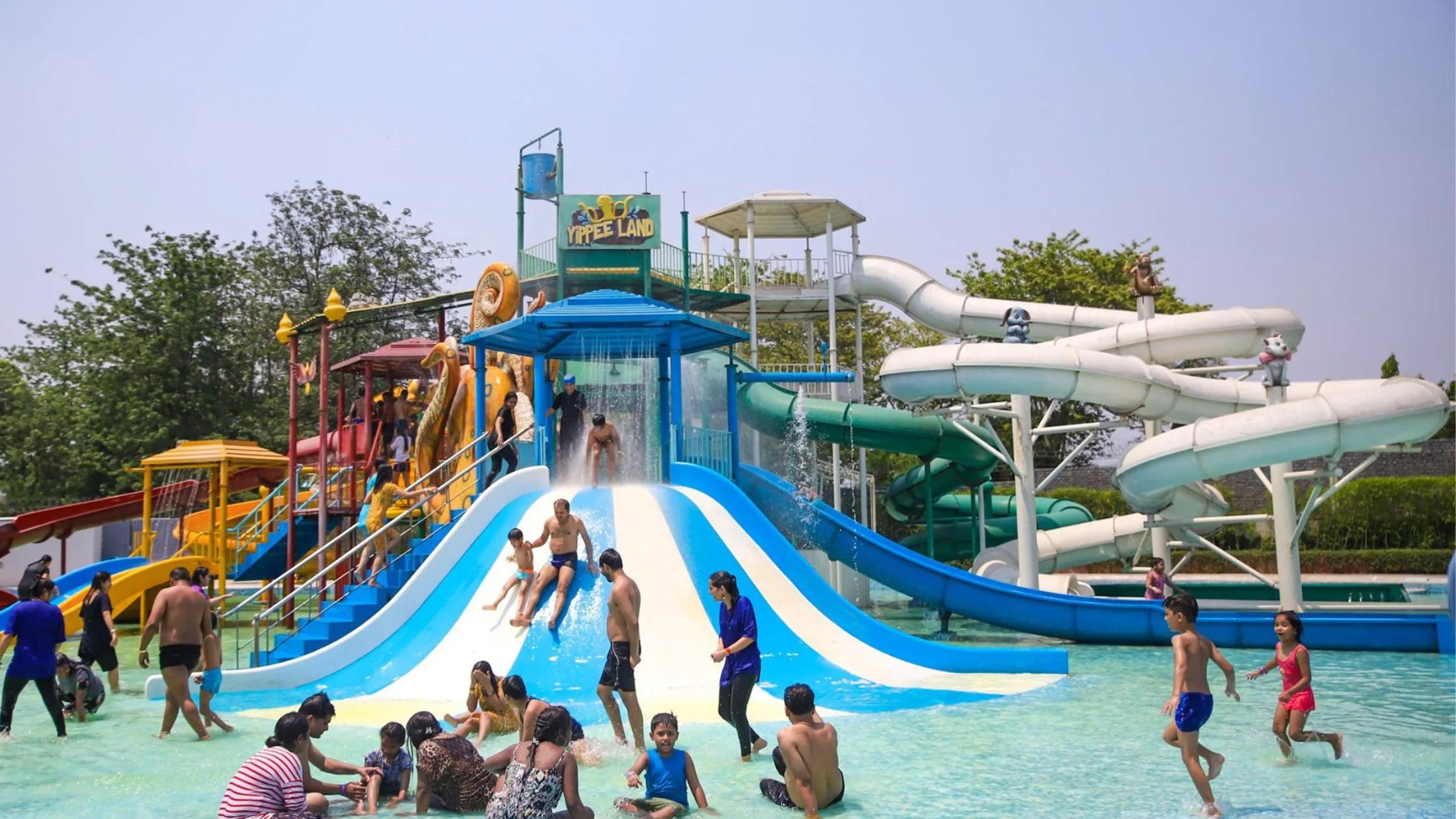 Water slides at the park