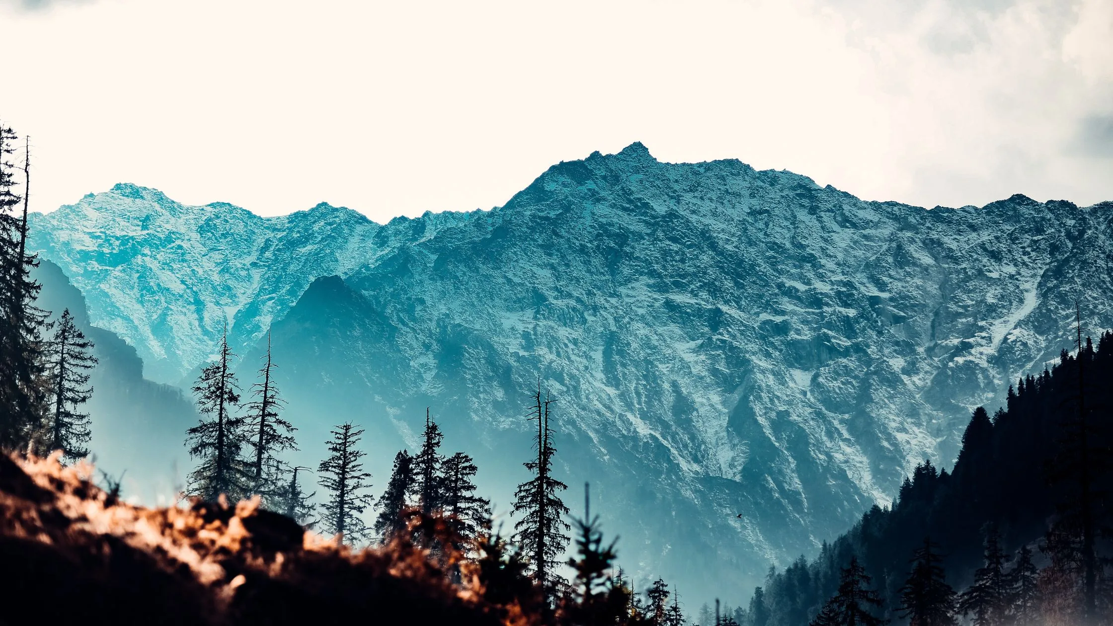 Manali hills covered with snow