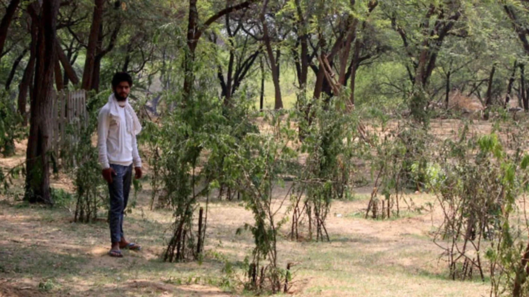 Tughlaqabad Biodiversity Park