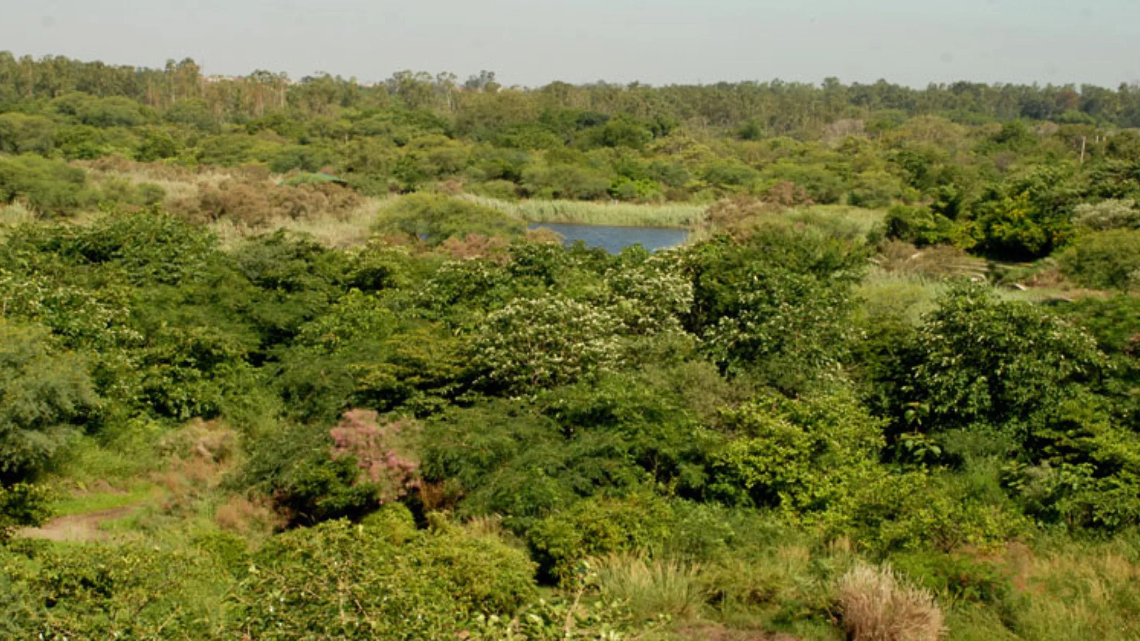 Yamuna park near Aravalli Hills