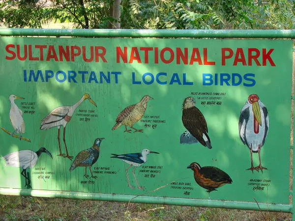 A green colored board at Sultanpur National Park portraying about the local birds in the park.