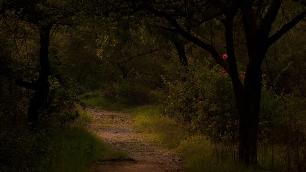 Sanjay Van in Delhi