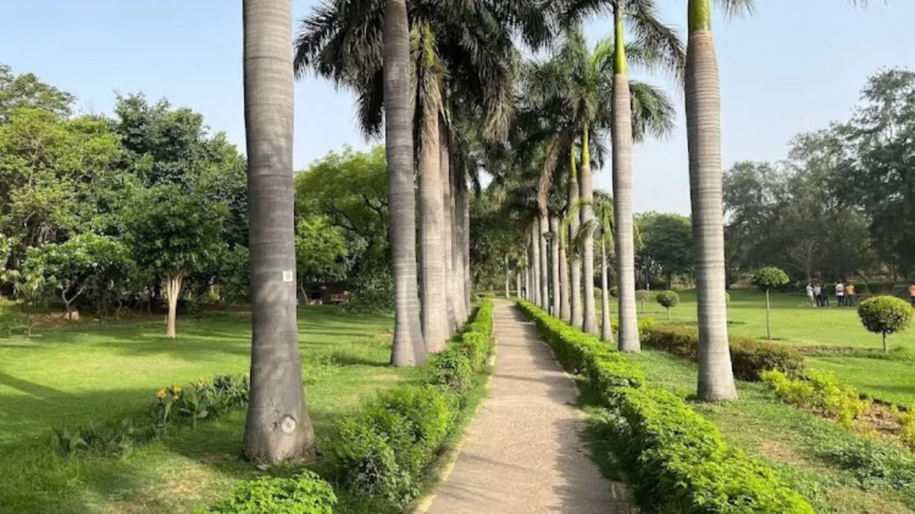 A view from Nehru Park