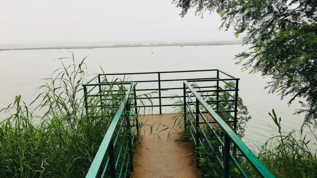 A lake at Okhla Bird Sanctuary in Delhi